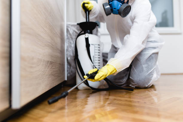 Best Cockroach Control Services  in Syracuse, KS