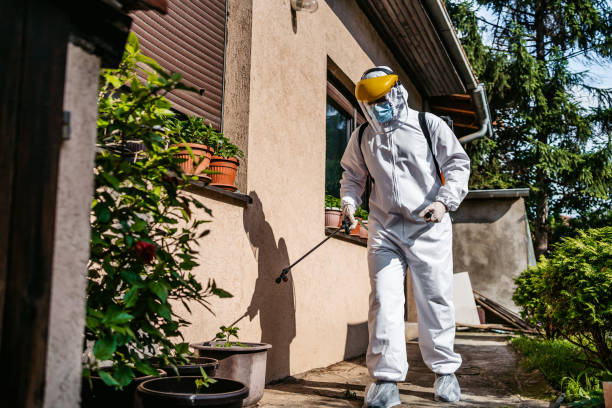 Best Bed Bug Extermination  in Syracuse, KS
