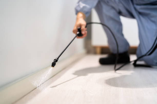 Best Mosquito Control Services  in Syracuse, KS
