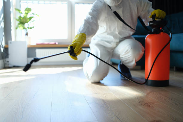Best Flea Control Services  in Syracuse, KS