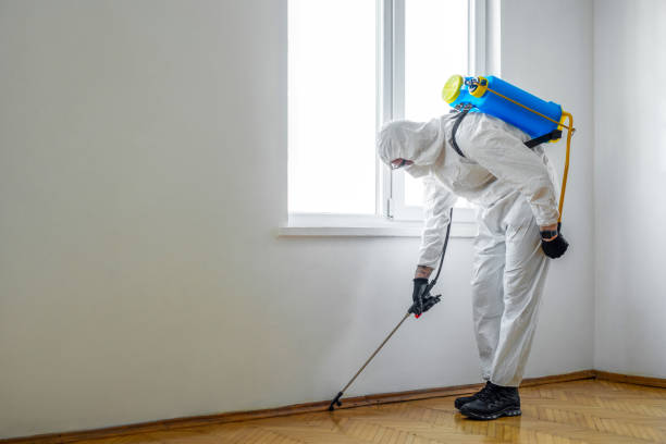 Best Pest Control for Homes  in Syracuse, KS