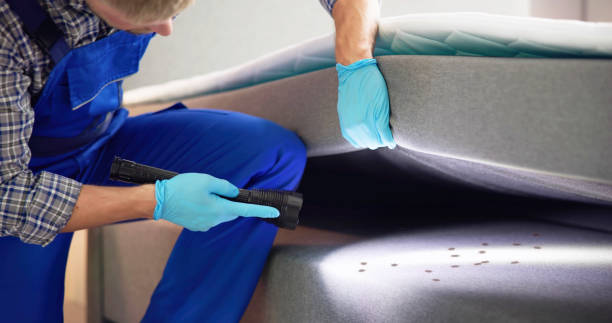 Best Affordable Pest Control Services  in Syracuse, KS
