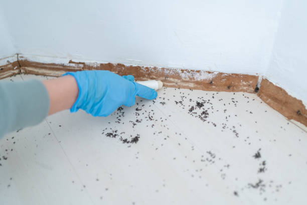 Best Residential Pest Control  in Syracuse, KS