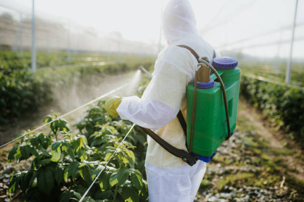  Syracuse, KS Pest Control Pros